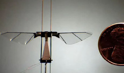 MicroRobotic Spy Fly fom Harvard (click image for video)